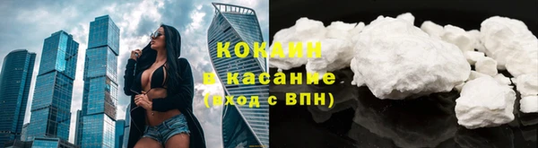 дурь Краснослободск