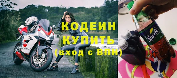 дурь Краснослободск