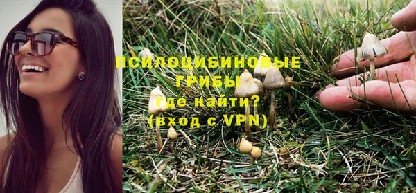 дурь Краснослободск