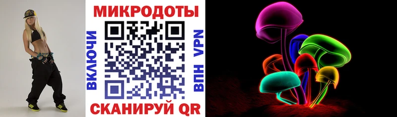 Псилоцибиновые грибы Cubensis Знаменск