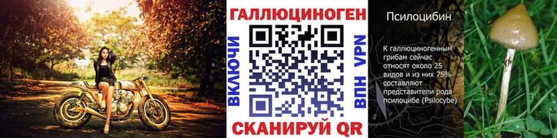 Галлюциногенные грибы ЛСД  закладки  Знаменск 