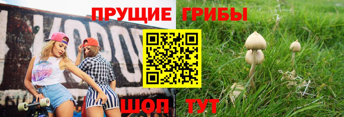 Псилоцибиновые грибы MAGIC MUSHROOMS Знаменск