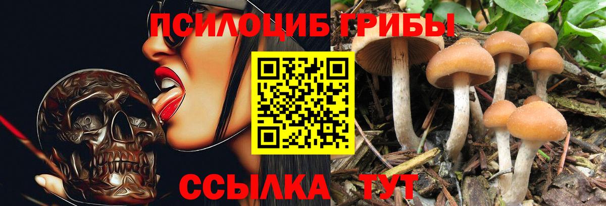 Псилоцибиновые грибы прущие грибы  Знаменск  Галлюциногенные грибы ЛСД 
