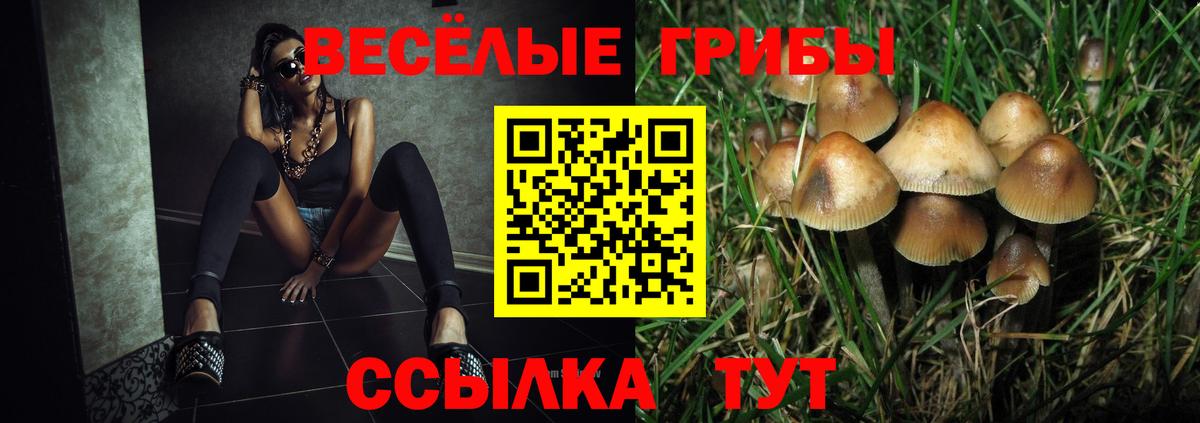 Галлюциногенные грибы Magic Shrooms  Вход с VPN  купить  сайты  Знаменск 